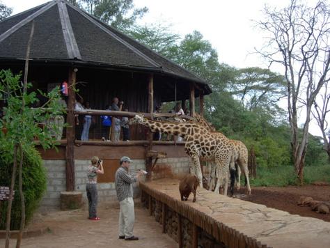 Giraffe Centre Nairobi